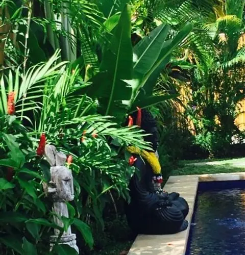 Kayu Bali 4*