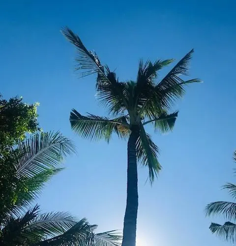 Kayu Bali Hotel
