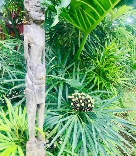 Kayu Bali 4*