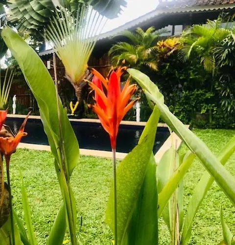 Hotel Kayu Bali Canggu
