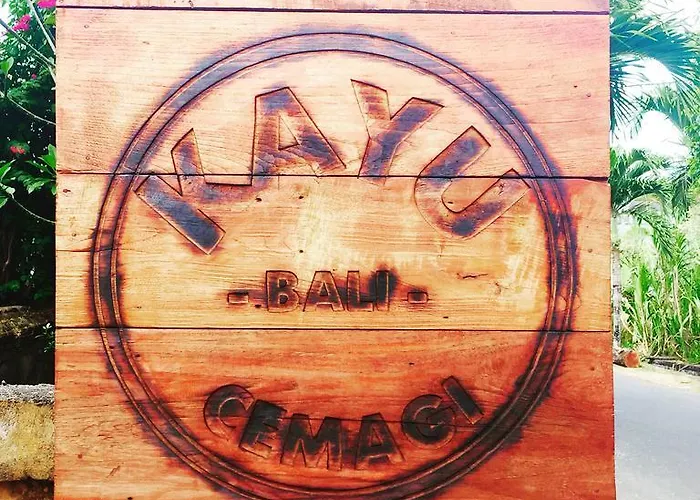 Hotel Kayu Bali