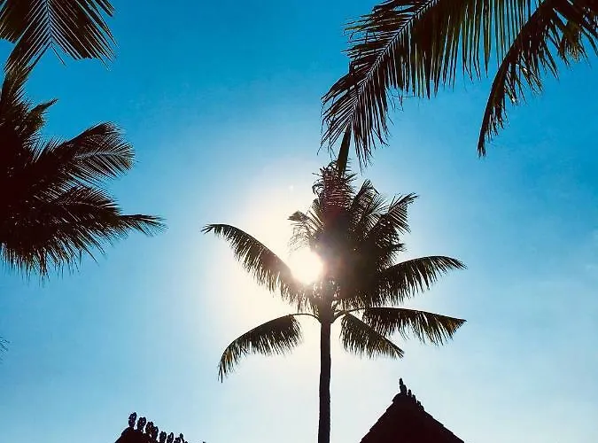 Hotel Kayu Bali Canggu